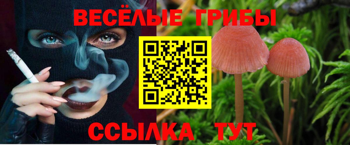 Псилоцибиновые грибы прущие грибы Котлас
